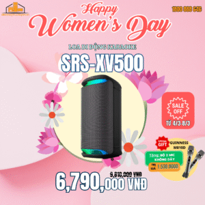 Loa di động Karaoke Sony | SRS-XV500